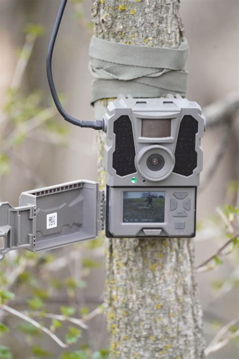 reveal trail camera